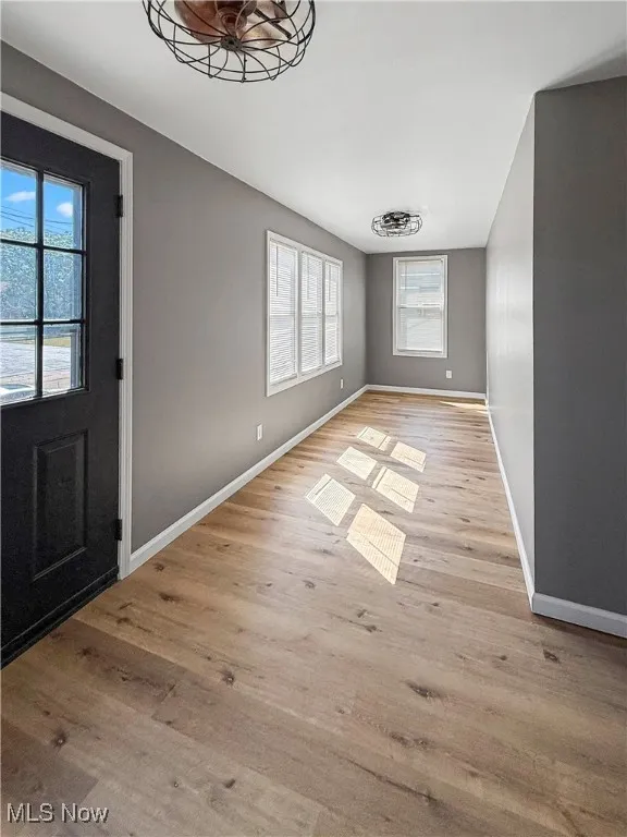 Entryway with light wood-style floors