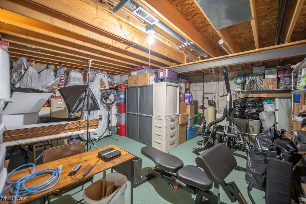 View of basement storage area