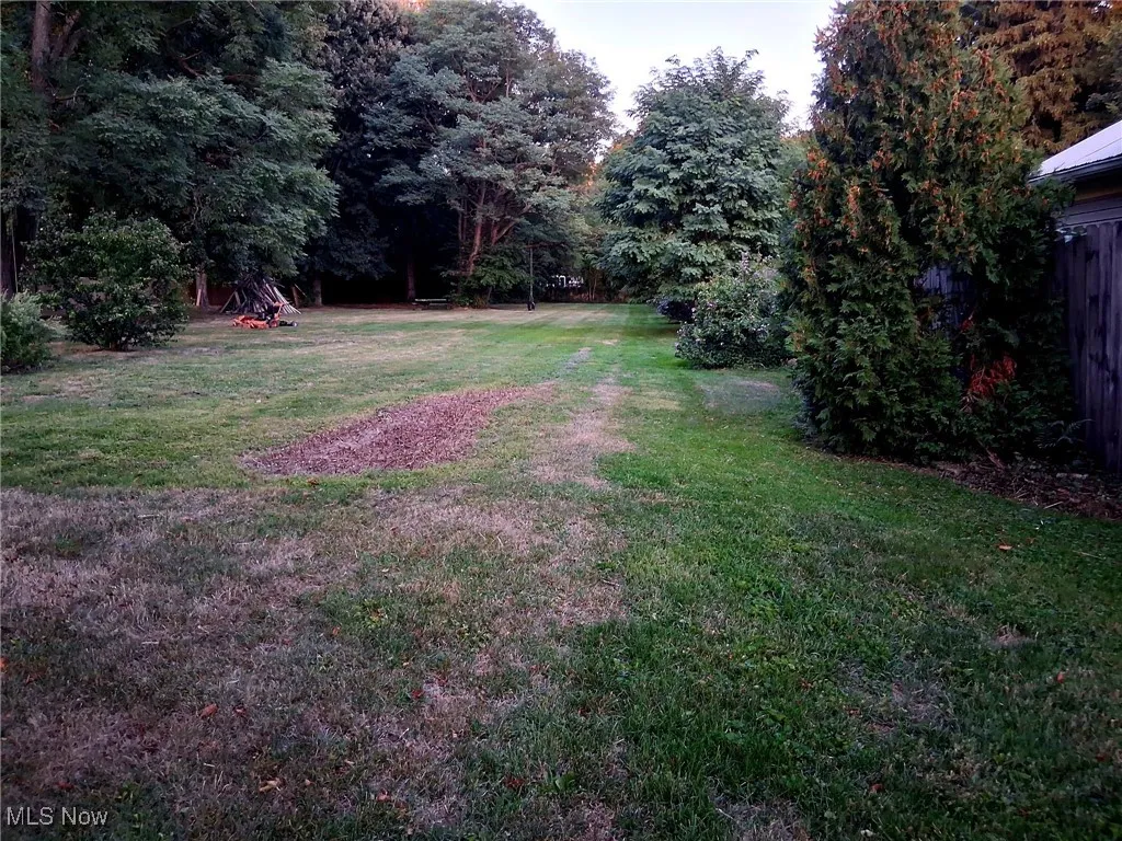 View of grassy yard