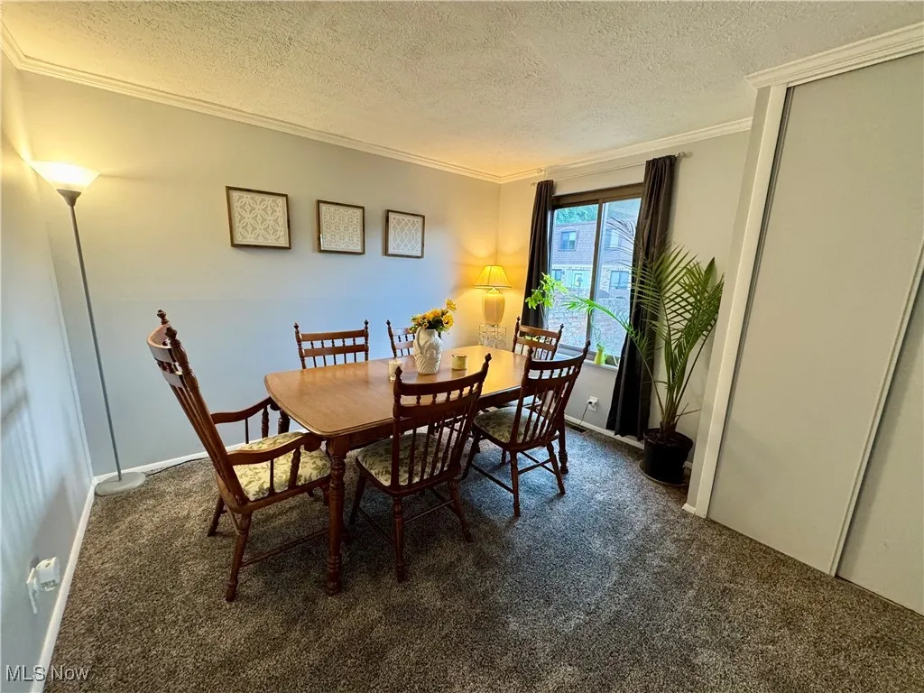 1651 Mentor Avenue # 1603, Painesville, Ohio 44077,MLS Now Listing ID
