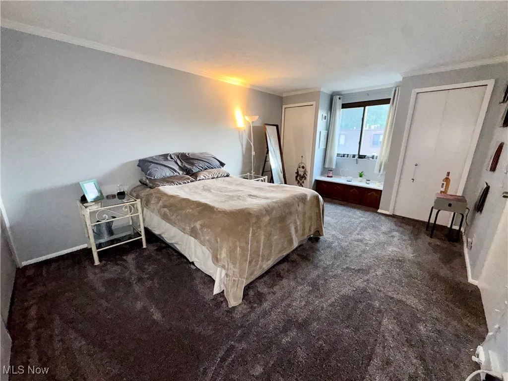 1651 Mentor Avenue # 1603, Painesville, Ohio 44077,MLS Now Listing ID