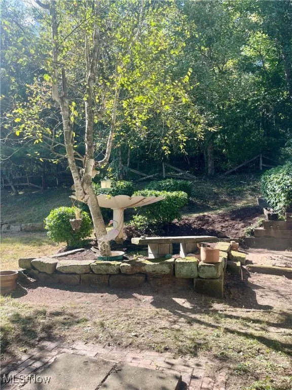 View of the pond