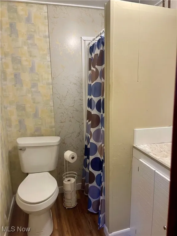 Bathroom in the lower level.