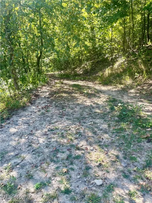 Trail into the woods
