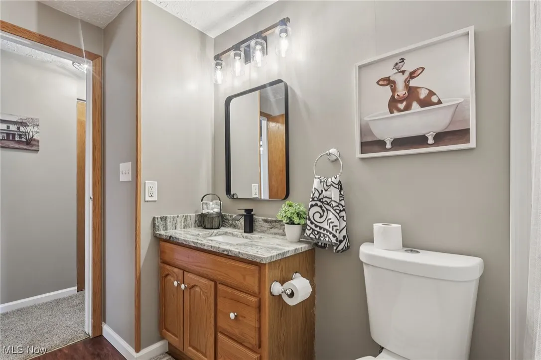 Full bathroom featuring vanity and dark wood-style flooring