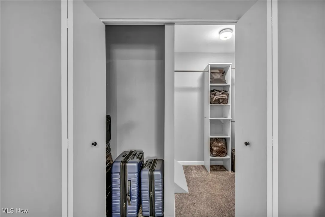 Spacious closet featuring carpet flooring