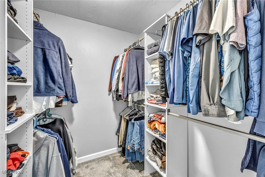 Spacious closet featuring light carpet