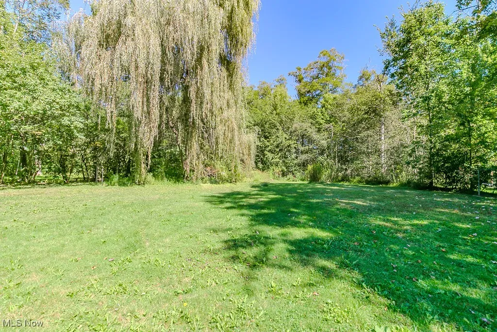 View of grassy yard featuring a wooded view