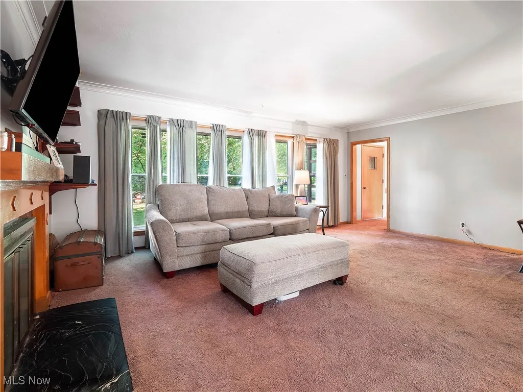 Living room with a tile fireplace, carpet floors, and ornamental molding
