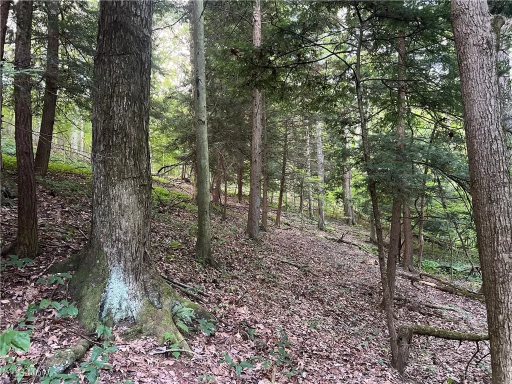 5700 State Route 534, Windsor, Ohio 44099,MLS Now Listing ID