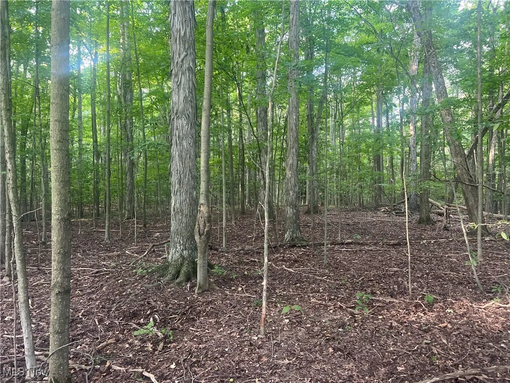 5700 State Route 534, Windsor, Ohio 44099,MLS Now Listing ID