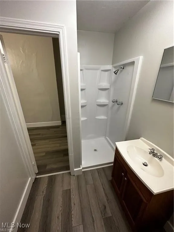 Full bathroom featuring vanity, dark wood finished floors, and a shower stall