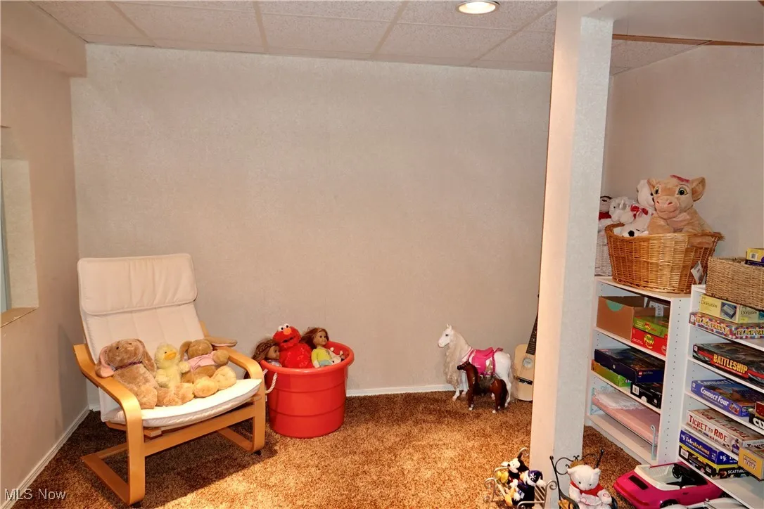 Game room with carpet and a paneled ceiling