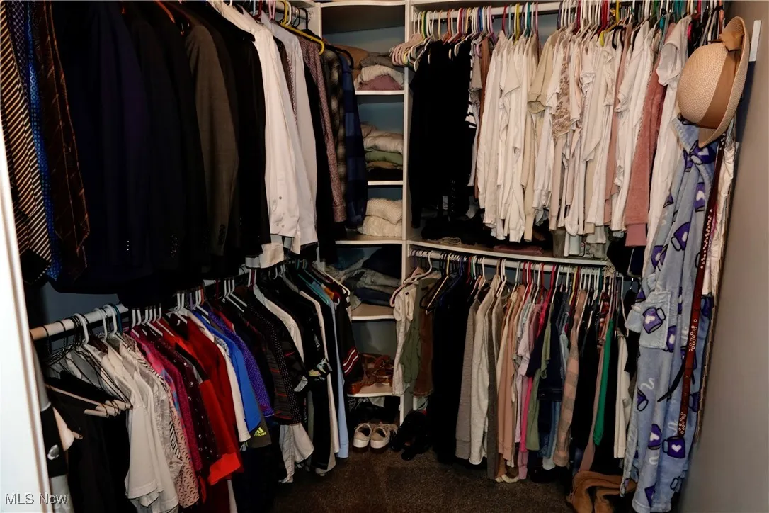 Spacious closet featuring dark carpet