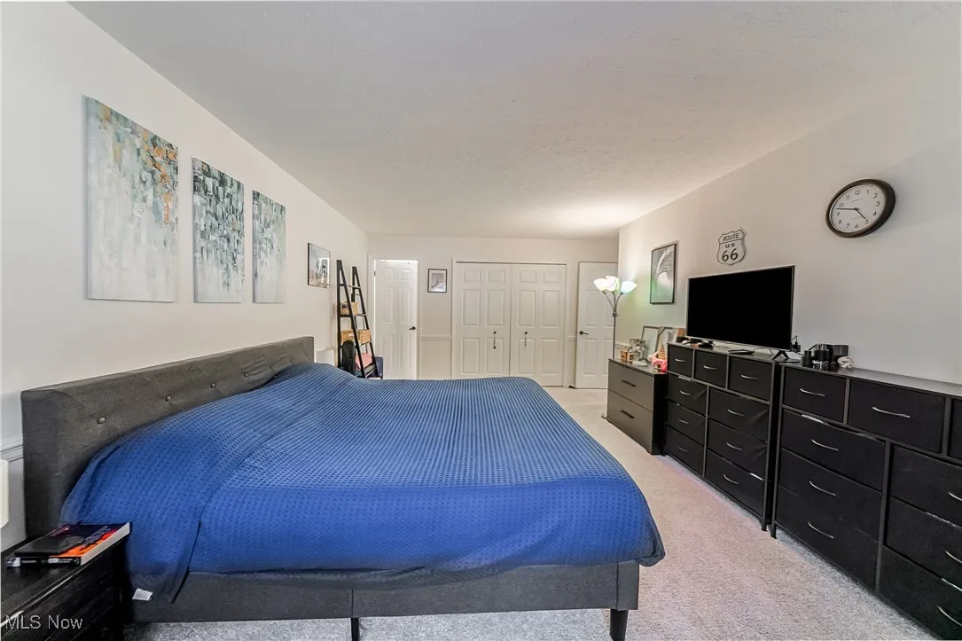 Bedroom featuring light colored carpet and a closet