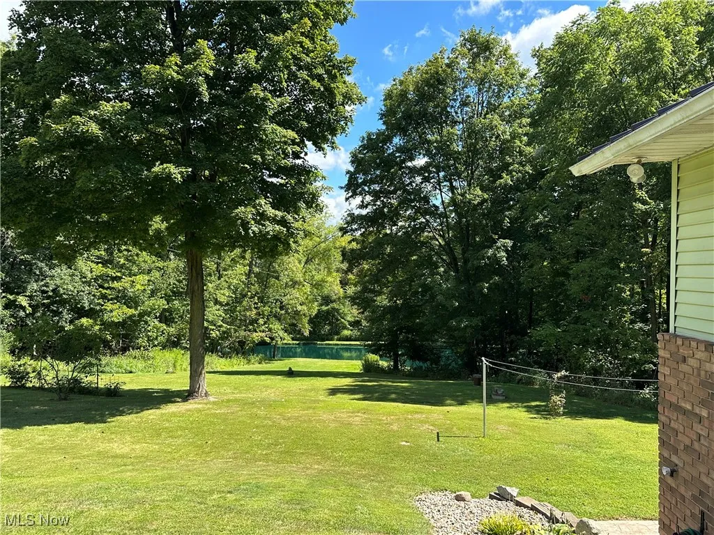 Parcel 1 View of green lawn