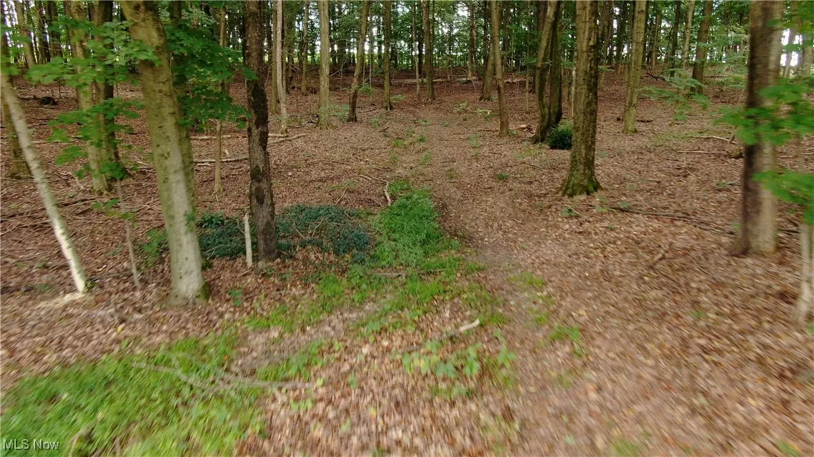 View of undeveloped land  - Parcel 2