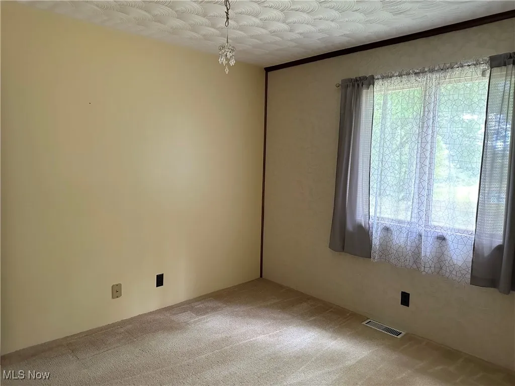 Unfurnished room with carpet
