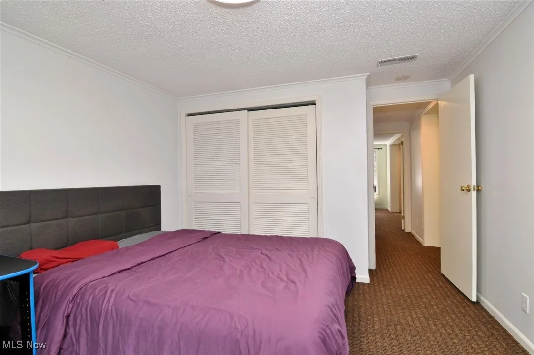 Carpeted bedroom featuring a textured ceiling, crown molding, and a closet