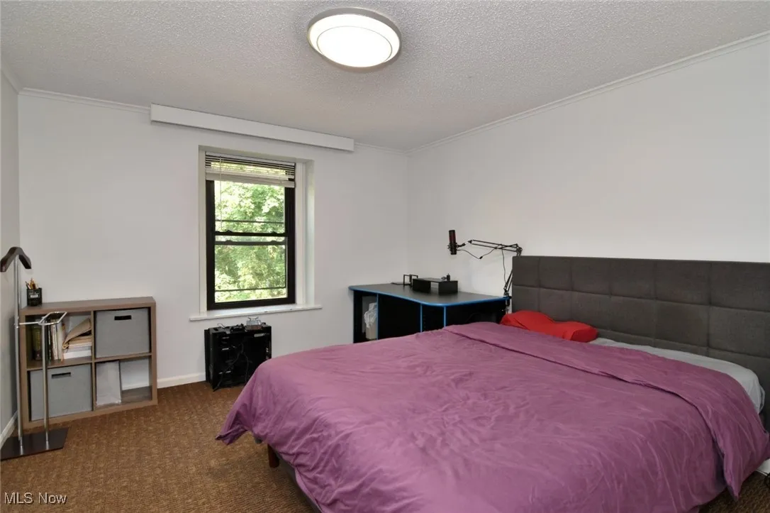 Carpeted bedroom with ornamental molding and a textured ceiling