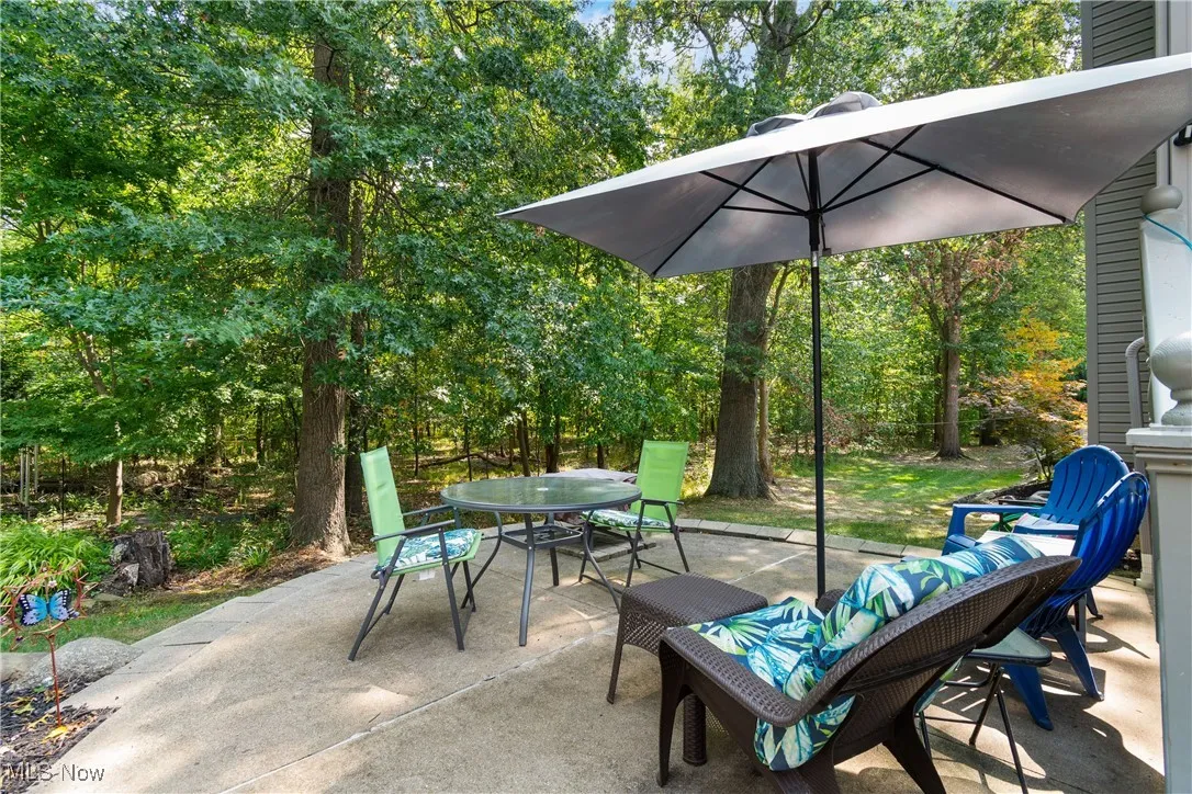 3288 Grey Village Drive # 3, Akron, Ohio 44319,MLS Now Listing ID