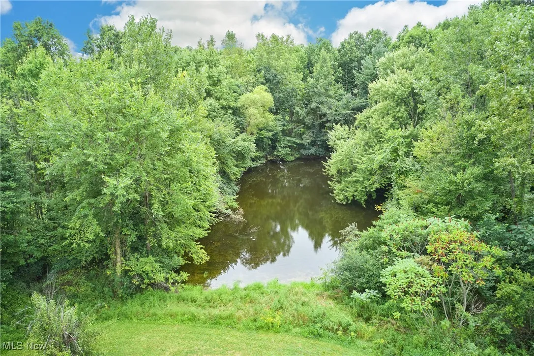 Pond in rear of property