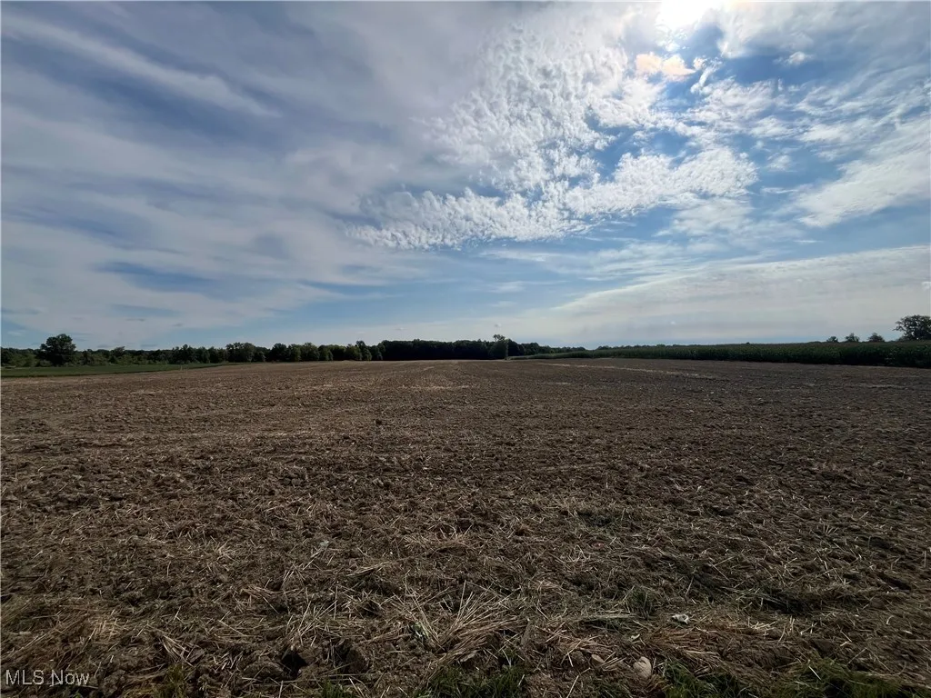 V/L Township Road 391, Sullivan, Ohio 44880,MLS Now Listing ID