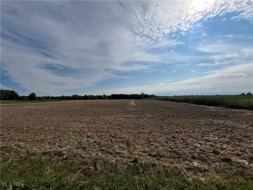 Street view of center of property