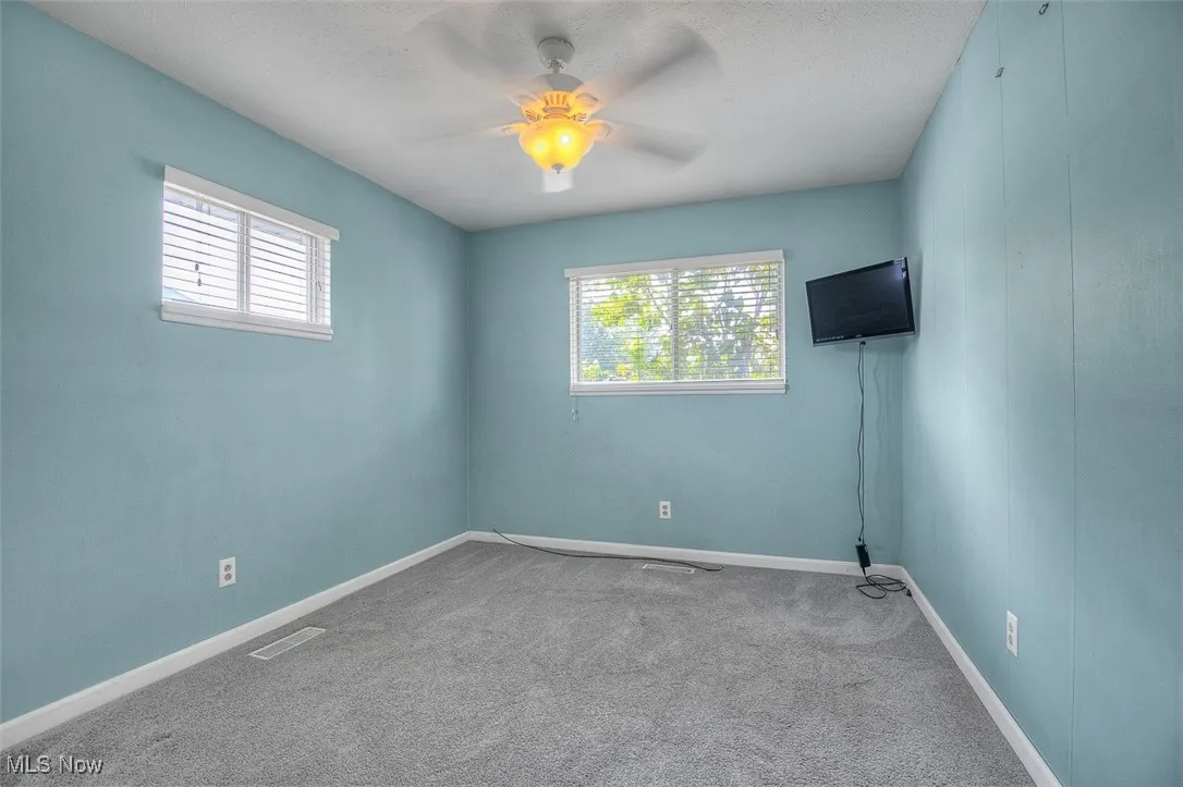 Carpeted spare room with healthy amount of natural light and a ceiling fan