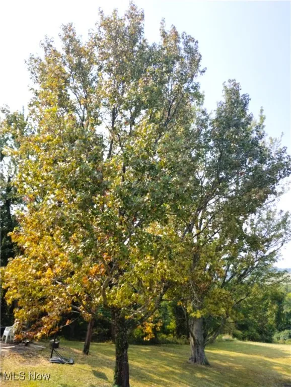 61900 Fairview Road, Barnesville, Ohio 43713,MLS Now Listing ID