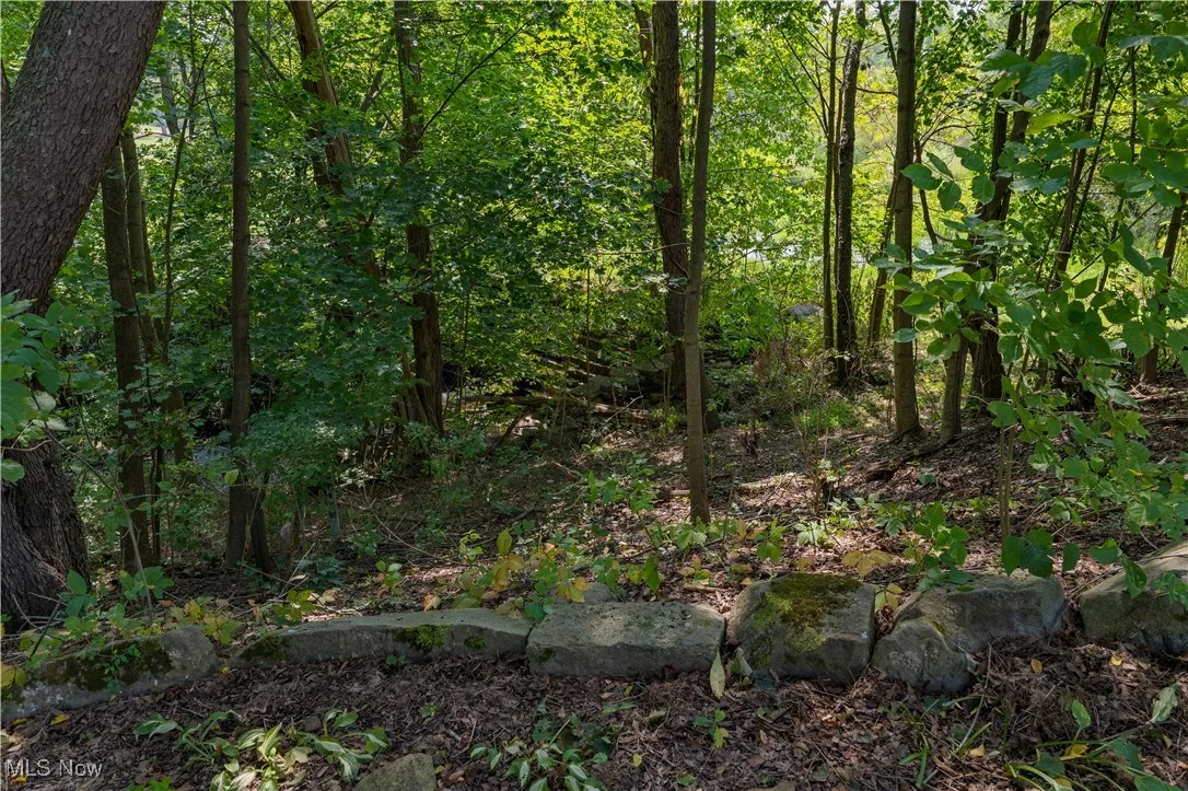 View of wooded area