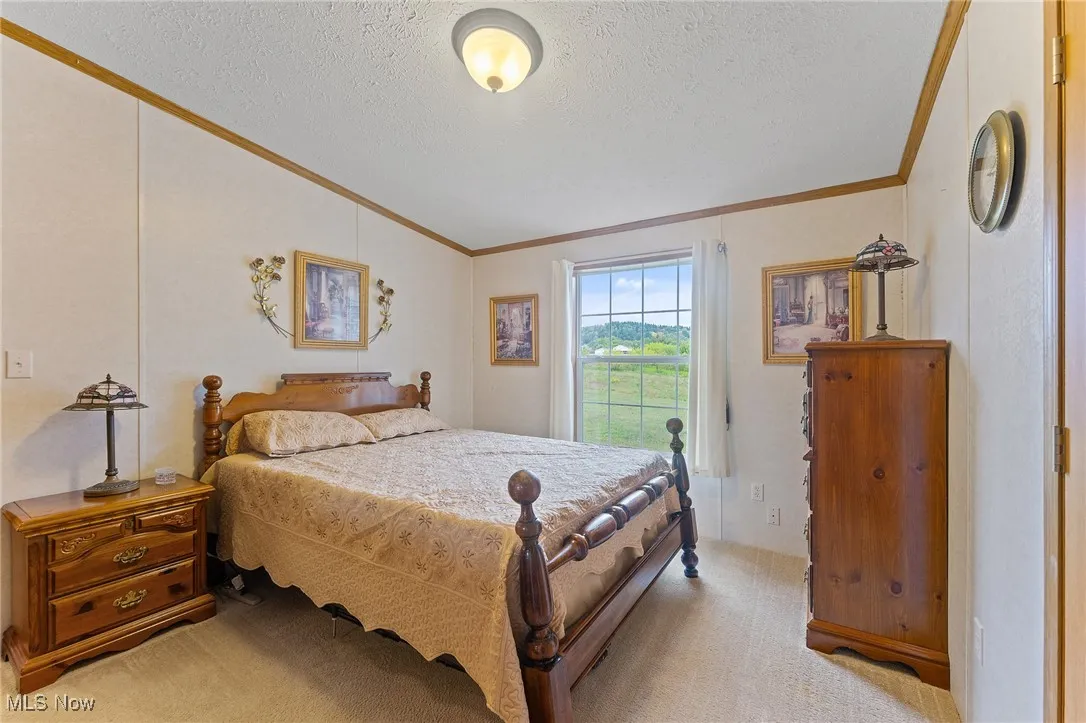 11710 State Route 164, Lisbon, Ohio 44432,MLS Now Listing ID