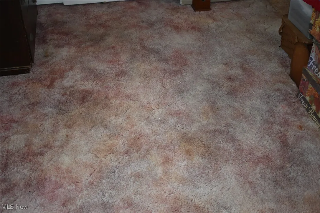 Detailed view of carpet
