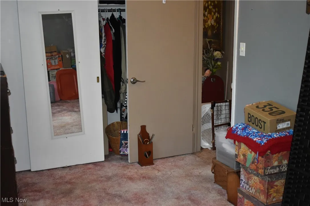 Bedroom with a closet and carpet flooring