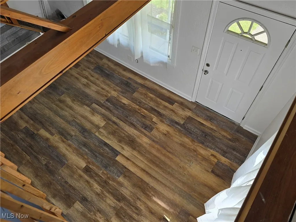 Foyer entrance featuring dark wood-style floors and healthy amount of natural light