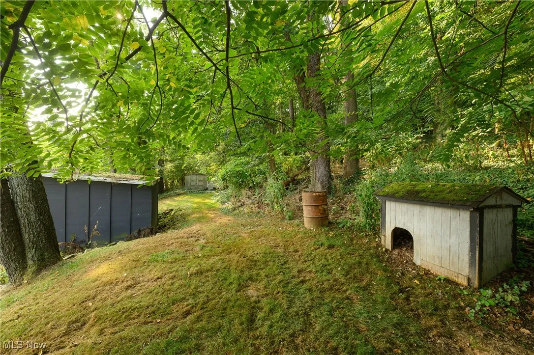 View of yard featuring a shed
