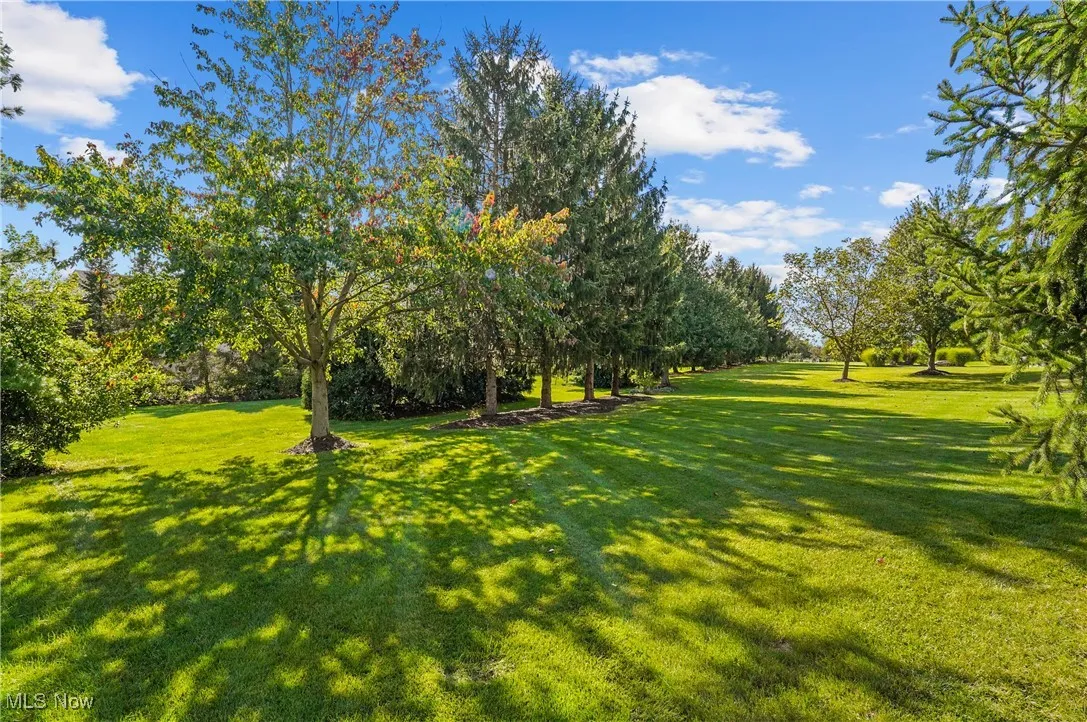 Large private lot