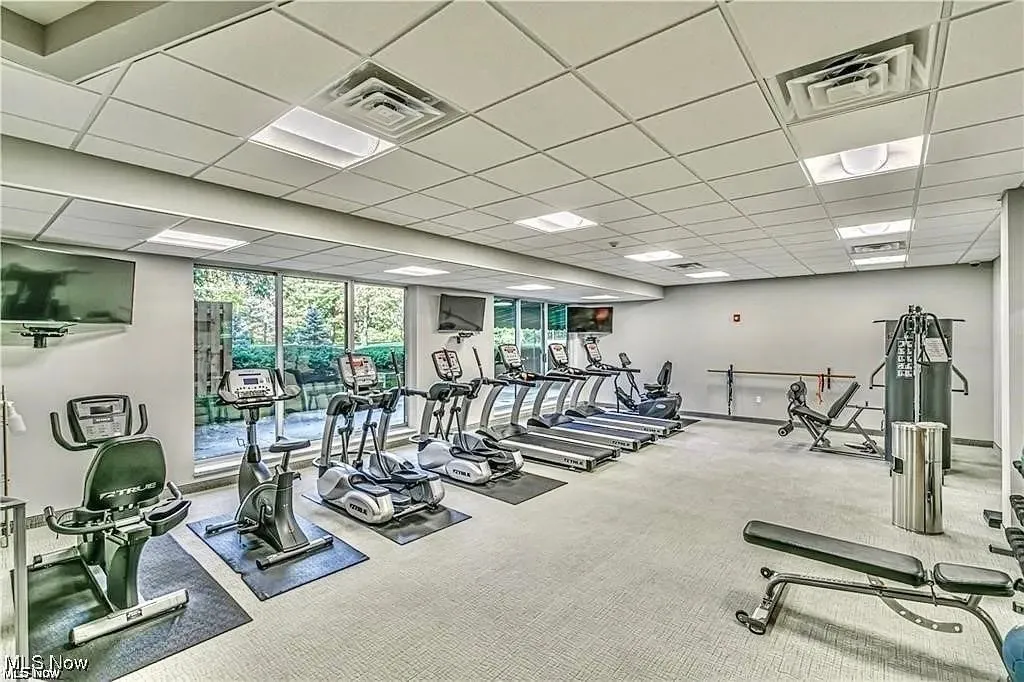 Gym with a drop ceiling and carpet flooring
