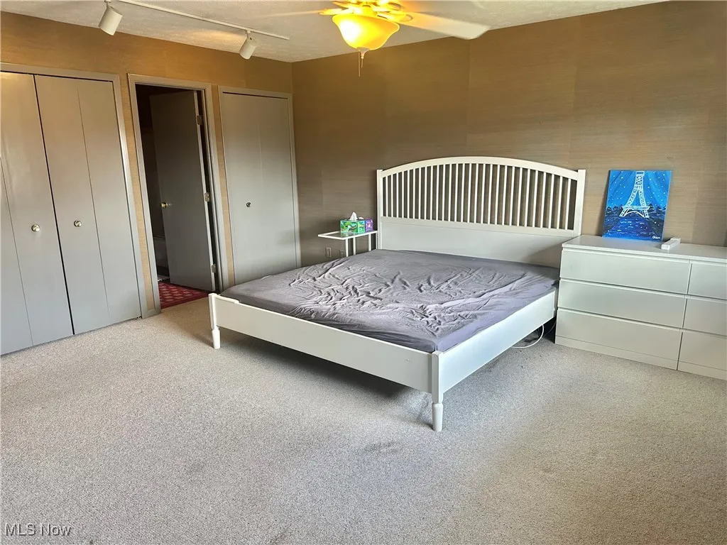 Bedroom with carpet flooring, ceiling fan, and rail lighting