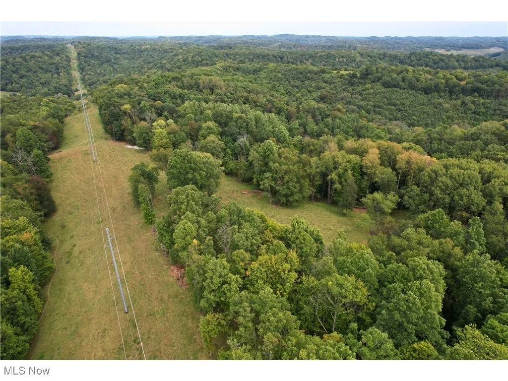 Aerial view of a heavily wooded area