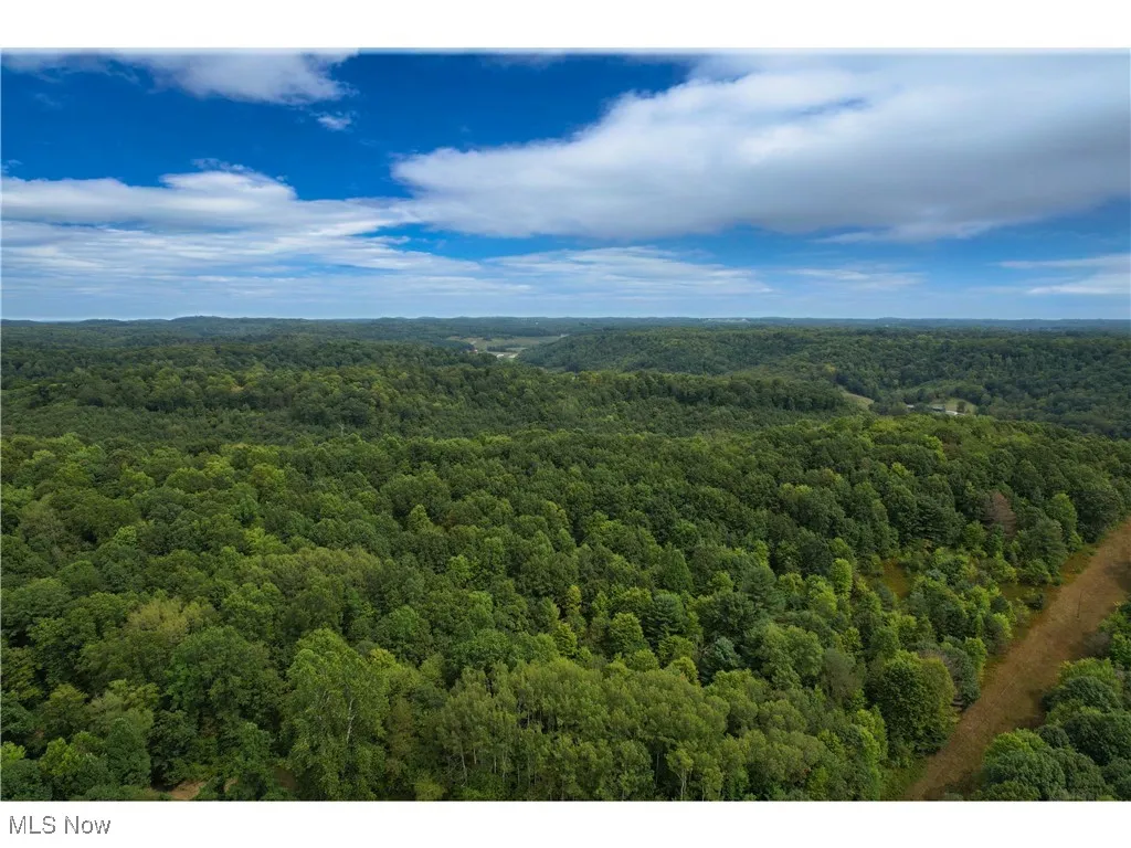 Bird's eye view of a heavily wooded area