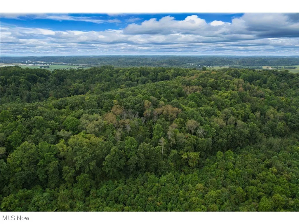 Drone / aerial view of a heavily wooded area
