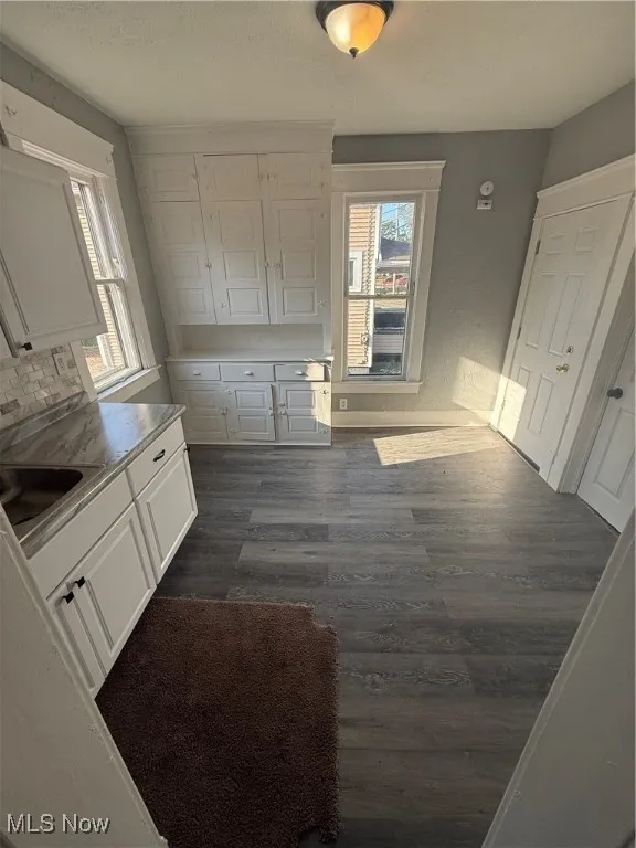 Unfurnished dining area featuring dark wood finished floors and a sink