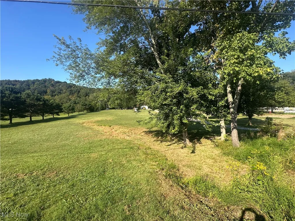 View of green lawn