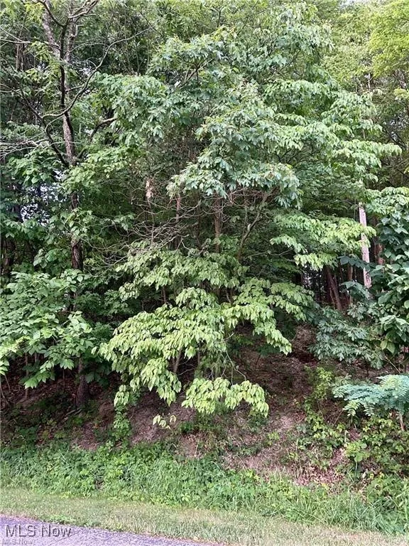 91 Oneida Trail, Malvern, Ohio 44644,MLS Now Listing ID
