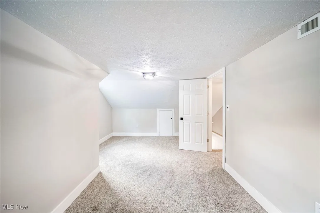 Bonus room with a textured ceiling, light carpet, and vaulted ceiling