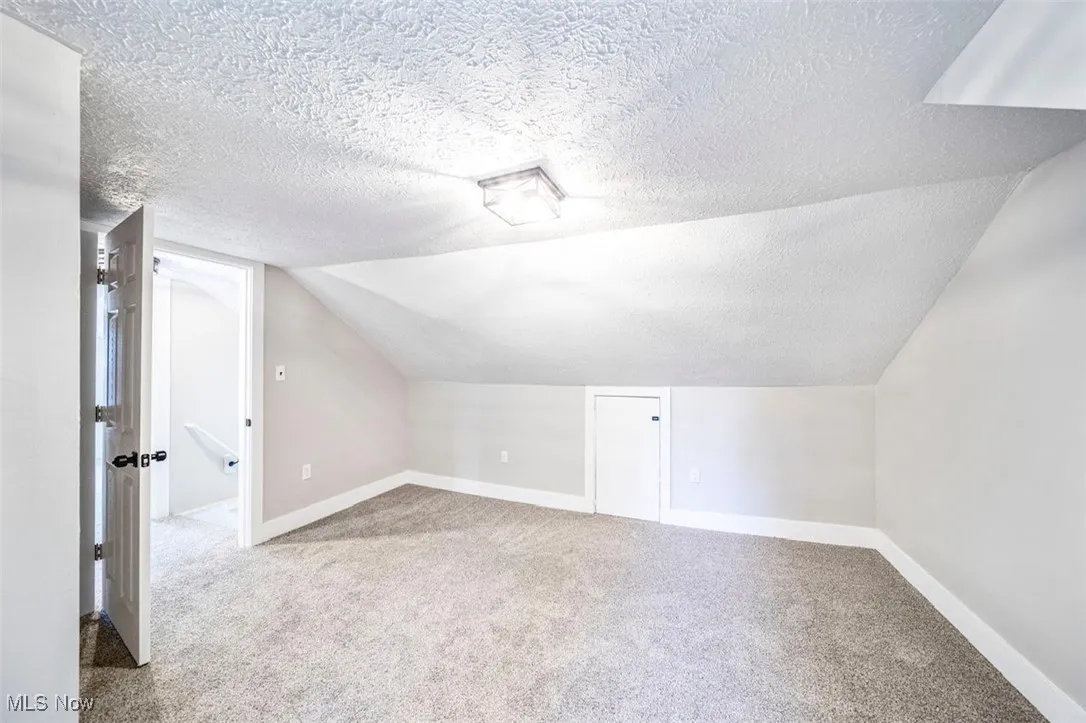 Bonus room with light carpet, a textured ceiling, and vaulted ceiling