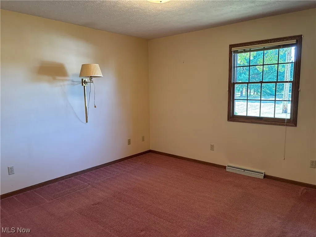 Double closets, carpet