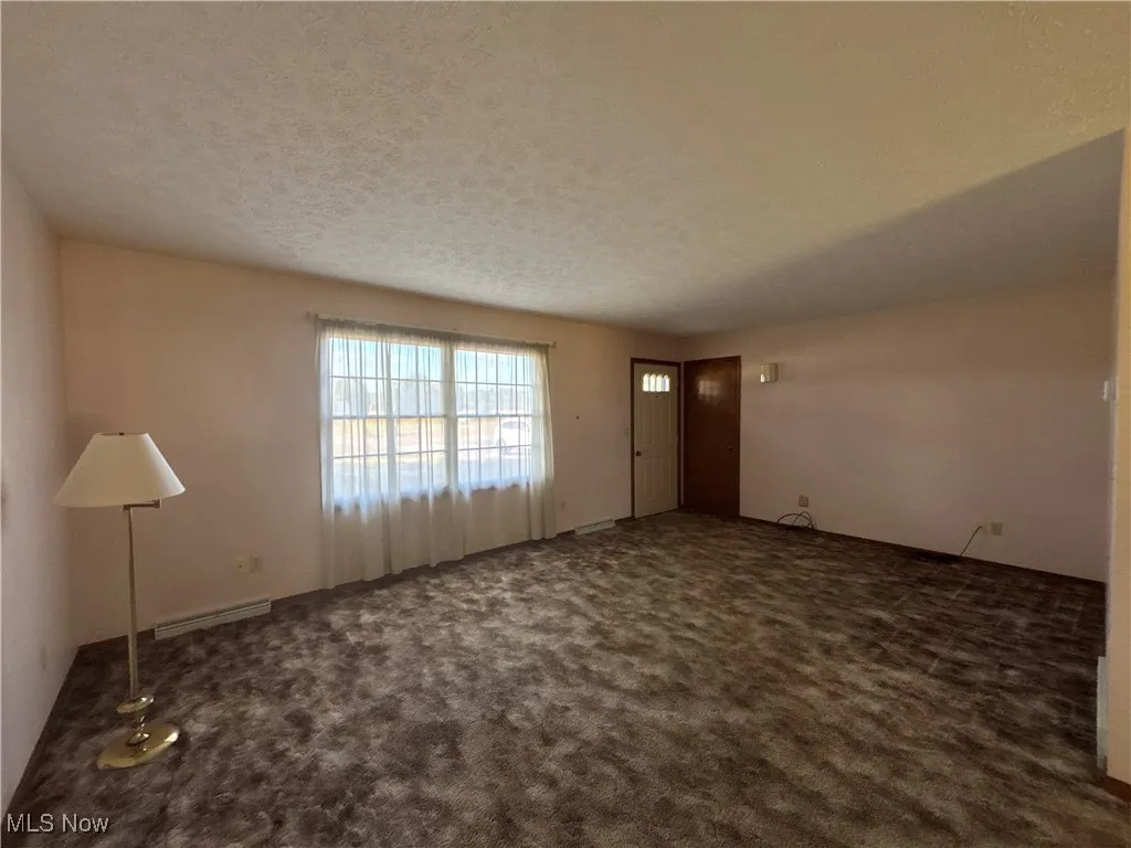 Picture window, carpet