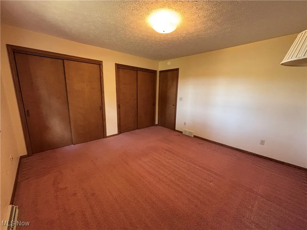 Double closets, carpet